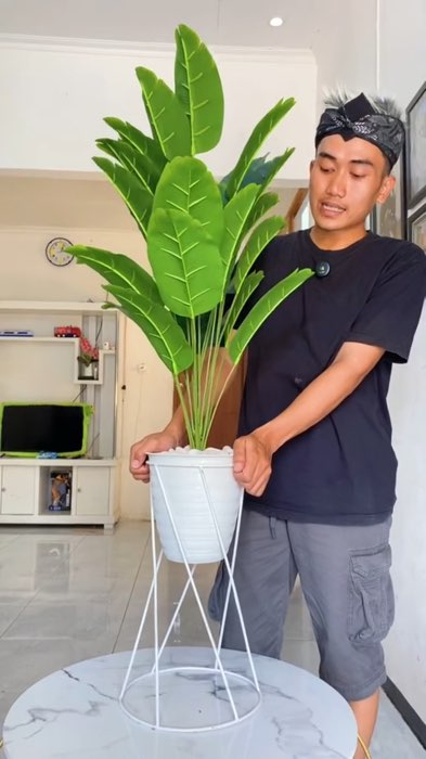 Tanaman hias plastik #SpillRacunShopee #ViralDiShopeeVideo #Diskon40RB #Diskon50Persen #SpillBawaBerkah #PromoNonStop #RacunShopeeCheck #RacunShopee