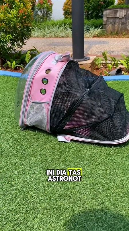 #tasastronotkucing #RacunShopee #SpillRacunShopee #SpillBawaBerkah #vidioshopeeviral #GratisOngkirRP0 #BadaiTapiBudget #barangviralshopee #barangunik