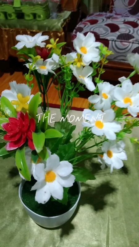 Bunga Hias Plastik Mempercantik Ruang keluarga dan dapur Bunda 🌸#bungahias #perintilanrumah #SpillRacunShoopee #RacunShopee #ShopeeCOD #bungaplastik