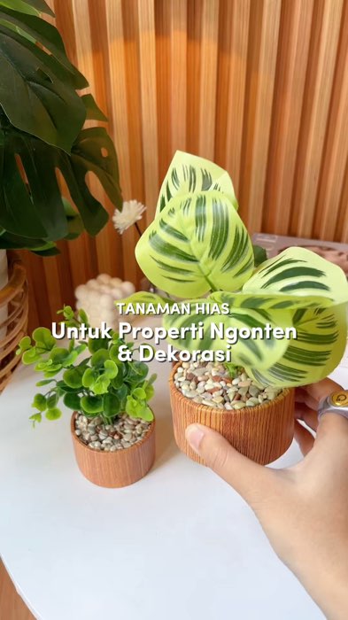 Tanaman artificial untuk dekorasi ruangan atau properti ngonten #tanamanhias #tanamanartificial #SpillRacunShopee #RacunShopee