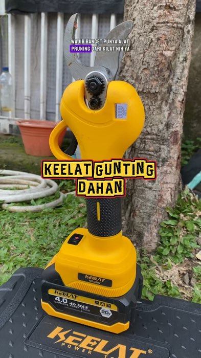 #pruningshears #pruningsaw #guntingdahanelektrik #guntingdahanbaterai #guntingdahantinggi #guntingdahanpohon #alatpruning #pruningtools #pruningshear