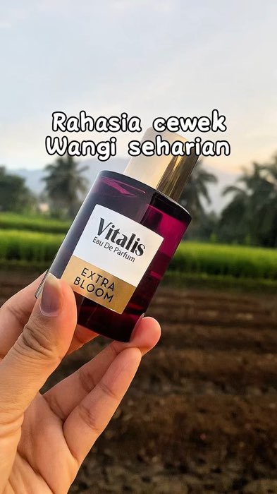 Ada diskon di keranjang oren #SpillRacunShopee #RacunShopeeCheck #RacunShopee #parfummurah #parfum #ParfumVitalis #parfumcewek #parfumtahanlama
