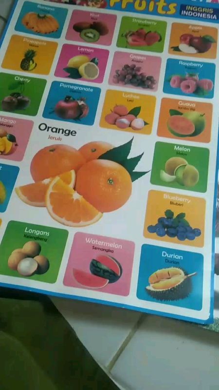 paket 6 poster edukasi#paket6posteredukasi#posteredukasimurah#cod#ShopeeVideoCreator#gratisongkir#murahberkualitas
