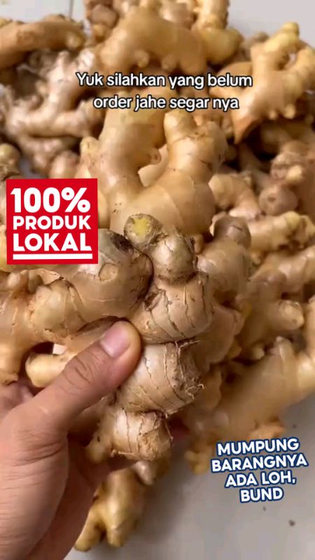 jahe gajah super seger #jahe #jahegajah #jahemurahberkualitas #larisbanget#jahegajahsuper