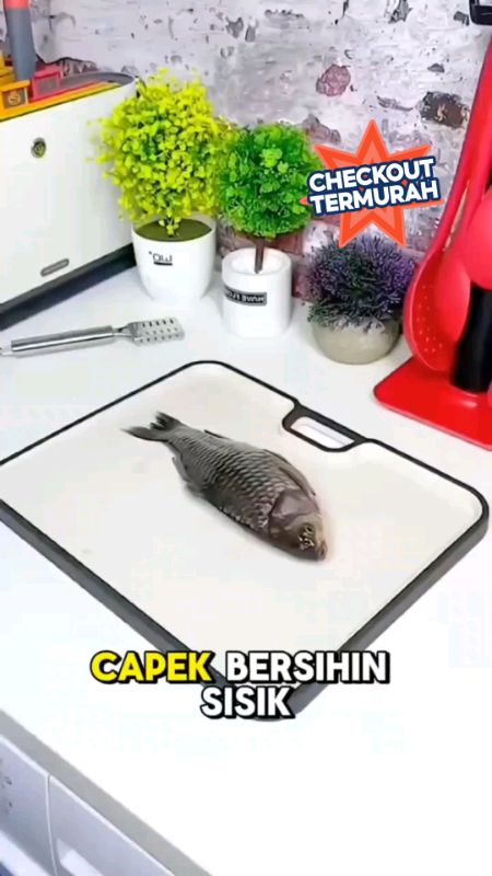 pembersih sisik ikan #pembersihsisikikan #pembersihsisik #pengupassisikikan #pengupassisik #RacunShopee #DiskonRacunShopee #SpillRacunShopee