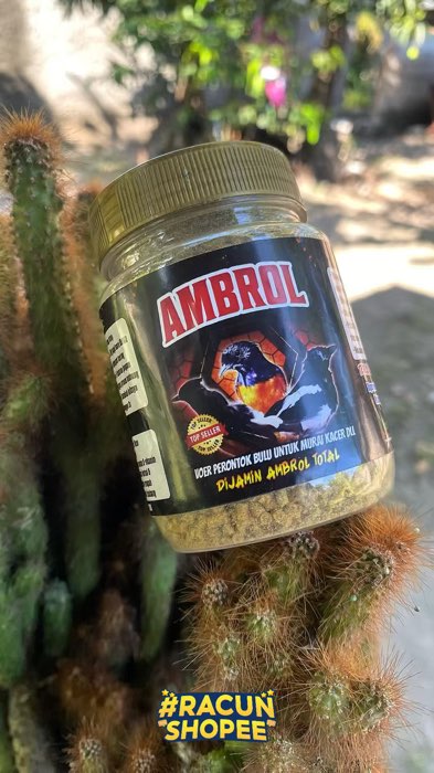 #RacunShopee voer AMBROL solusi burung susah mabung #GakNyeselBeliIni #GratisOngkirRP0 #RacunShopeeCheck #SpillRacunShopee #ShopeeCOD #PromoNonStop