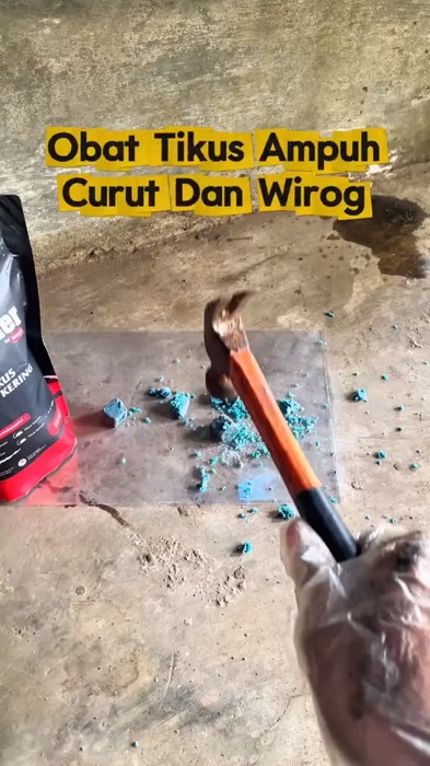 Beneran ampuh basmi tikus #racuntikus #racuntikusampuh #racuntikusmatikeringtidakbau #racuntikusshopee #racuntikusmurah #ViralDiShopeeVideo #tikus