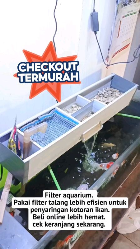 Filter talang #filtertalang #filtertalangakuarium #topfilterakuarium #filteraquarium #RacunShopee #ViralDiShopeeVideo #murahbanget #DiskonRacunShopee