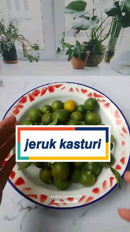jeruk kasturi#jeruk ##viralvideos #RacunShopeeOOTD #fypシ #RacunShopee #checkoutsekarang