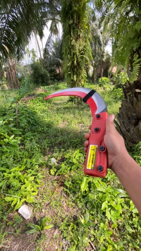 EGREK IMJ KING LONG RED ORIGINAL #imjkinglongred #original #thailand #fyp #RacunShopee