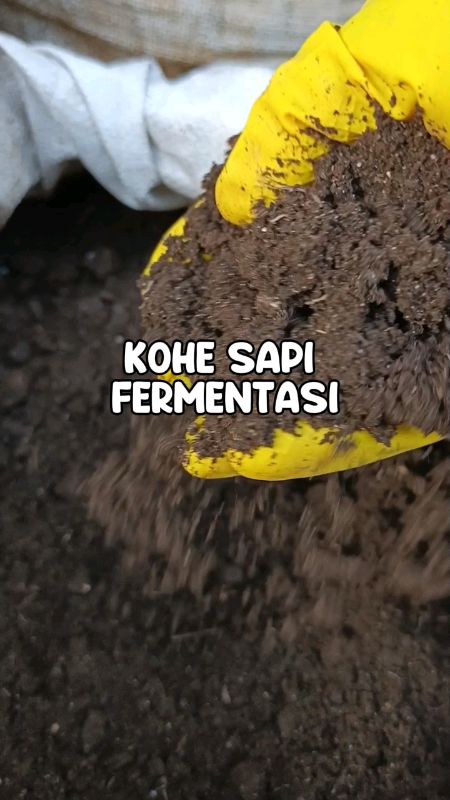 pupuk kandang ada diskon#pupuk #pupukkandang #fermentasi #tanaman #buah #sayur #shopeevideo #ShopeeCOD #RacunShopee #fyp#GakNyeselBeliIni