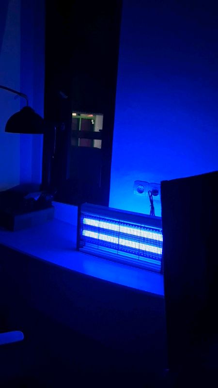 Rekomendasi perangkap nyamuk elektrik buat di rumah terlaris saat ini #Diskon50Persen #GratisOngkirRP0