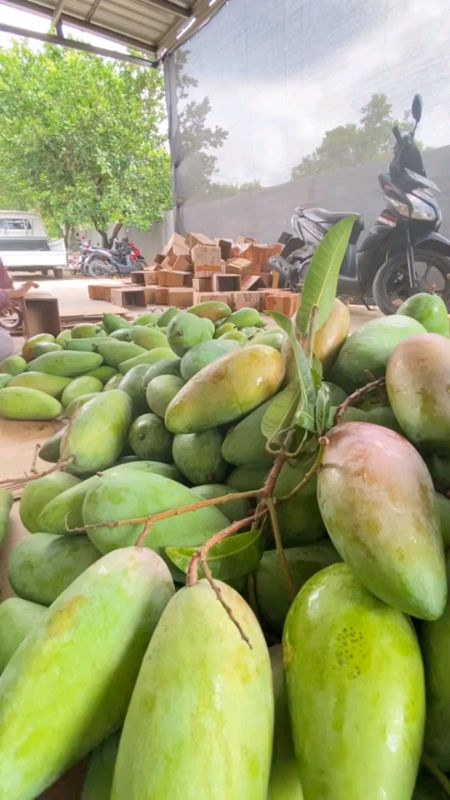 #kiojaythailand #rujakbuah #manggathailand #mangga