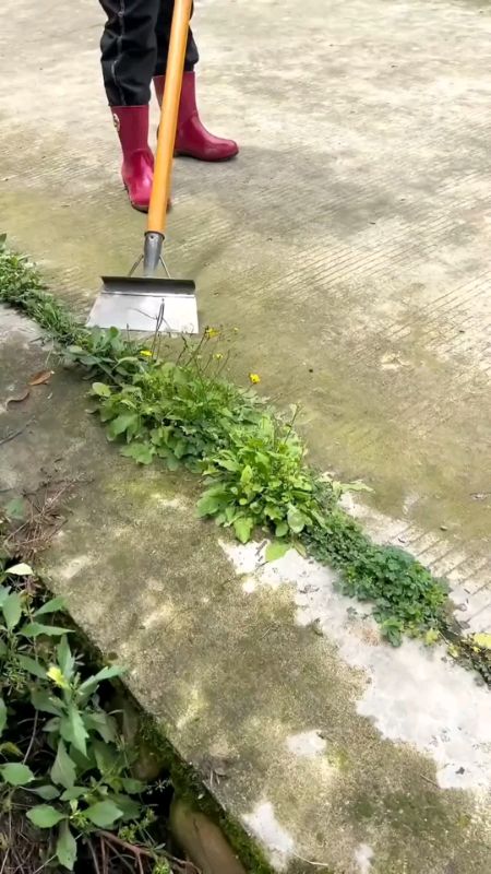 Sekop Kebun Tanah Penyiangan Multifungsi Sekop Kotoran Sapi Pembersih Pertanian #sekopmultifungsi #sekoppembersihrumput #sekoppembersihmultifungsi