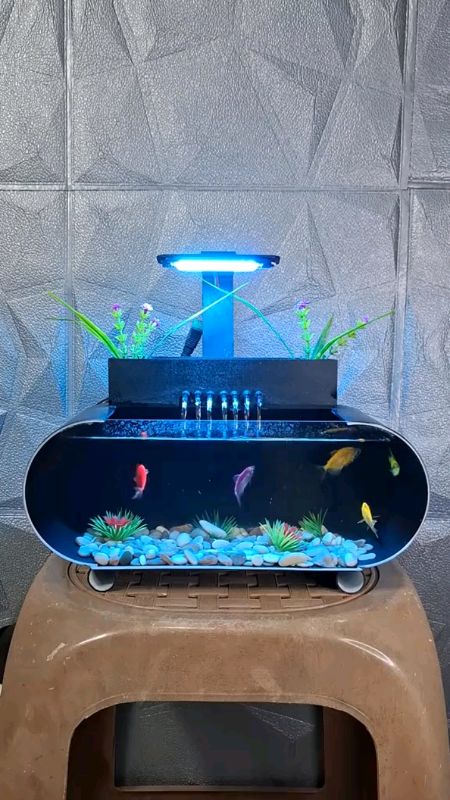 aquarium mini#shopeevideo #DiskonRacunShopee #GratisOngkirRP0 #RacunShopee