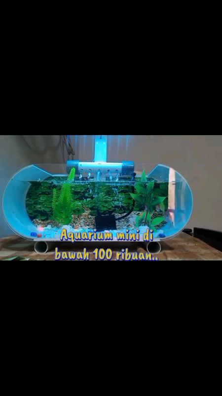 #aquariummini #aquariumakrilik #aquariumaesthetic #AquarimMiniFullSet