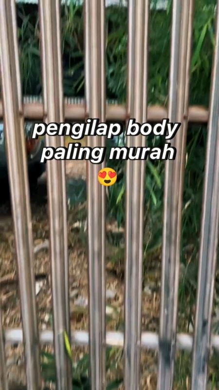 PENGKILAP BODY MOTOR SEALNT GUARD bikin motor jadi golssy seperti baru😍#pengilapmodymotor #fypviral #shop #motormodifikasiindo#SpillBawaBerkah