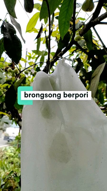 brongsong pembungkus buah berpori #brongsongbuah #pembungkusbuah #GakNyeselBeliIni #ShopeeCOD