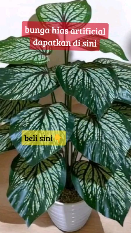 tanaman hias artificial #tanamanhias #tanamanartificial #keladiartificial #tanamanhiaskeladi #RacunShopee #SpillRacunShopee #GratisOngkirRP0 #CODinApa