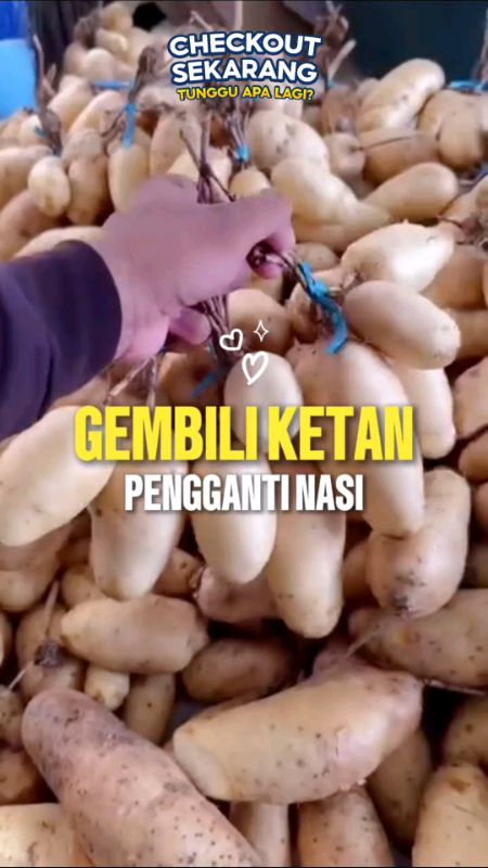 Ubi Gembili Ketan Pulen Pengganti Nasi #UbiGembili #Gembili #ViralDiShopeeVideo #Viral #DiskonRacunShopee #GakNyeselBeliIni #RacunShopee #GembiliKetan