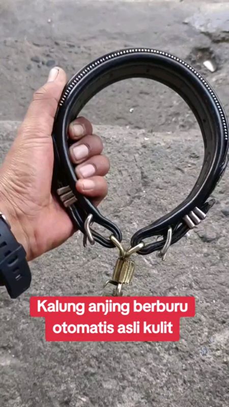 kalung anjing asli kulit#kalunganjing