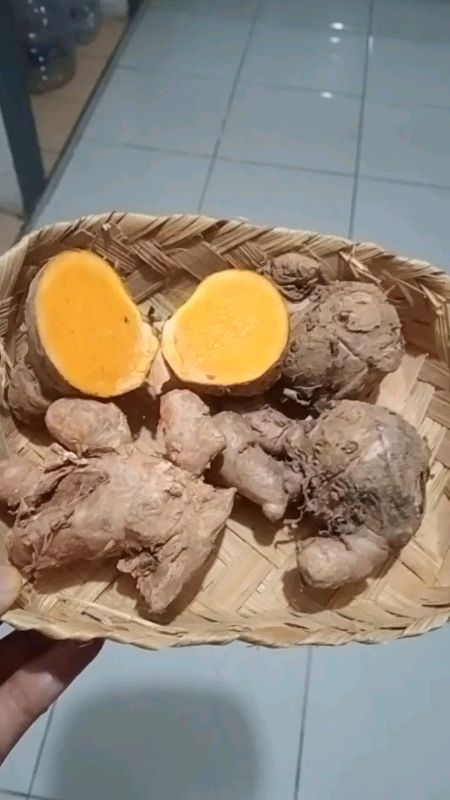 #temulawaksegar #temulawaksuper #Diskon50Persen #DiskonRacunShopee #SpillRacunShopee #ViralDiShopeeVideo #GakNyeselBeliIni #RacunShopee