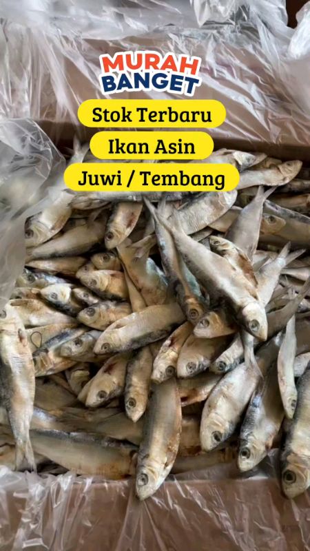 #ikanasintembang #ikanasintembangkering #ikanasintembangsisik #ikanasinsemenit #ikanasinjuwi #ViralDiShopeeVideo #fyp #fypシ #fypdongggggggg