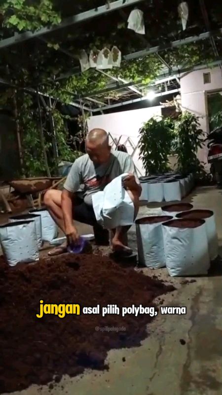 Yuk mulai berkebun dengan #polybag berkualitas 🤩 #polybagtanaman #plastikpolybag #polybaghitamputih #polybag2layer #polybag40x40 #RacunShopee #fyp