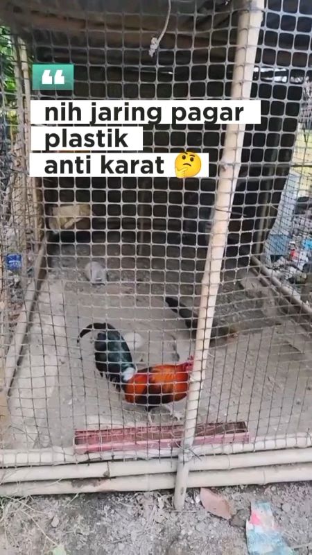 #pagarplastikkandang