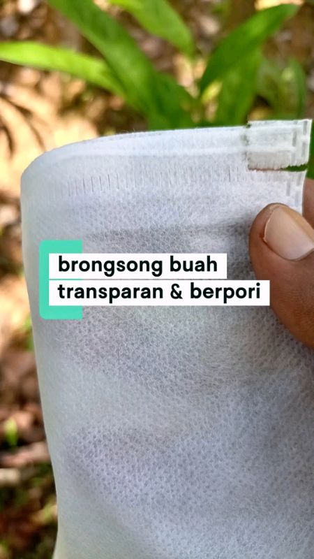 brongsong pembungkus buah #brongsongbuah #pembungkusbuahmurah #pembungkusbuahantiserangga #GratisOngkirRP0