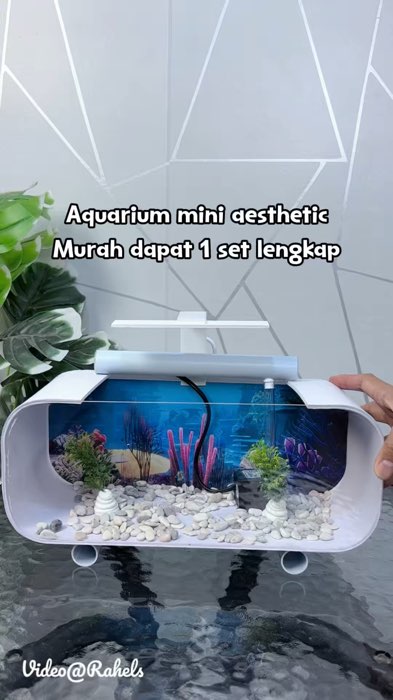Aquarium mini aesthetic #aquarium #aquariummini #aquariumaesthetic #aquariumakrilik