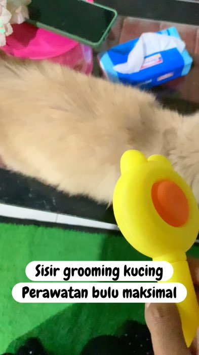 #SisirKucing #sisirgrooming #SpillBawaBerkah #GratisOngkirRP0 #DiskonRacunShopee #RacunShopeeCheck #SpillRacunShopee