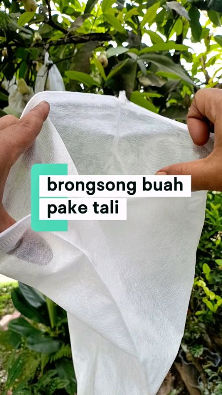 brongsong pembungkus buah berpori #pembungkusbuah #brongsongbuah #bungkusbuahdipohon #GratisOngkirRP0 #ShopeeCOD