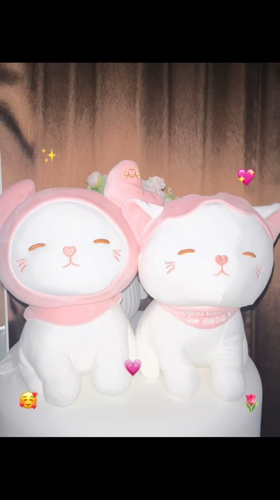 #boneka #bonekakucing #miniso