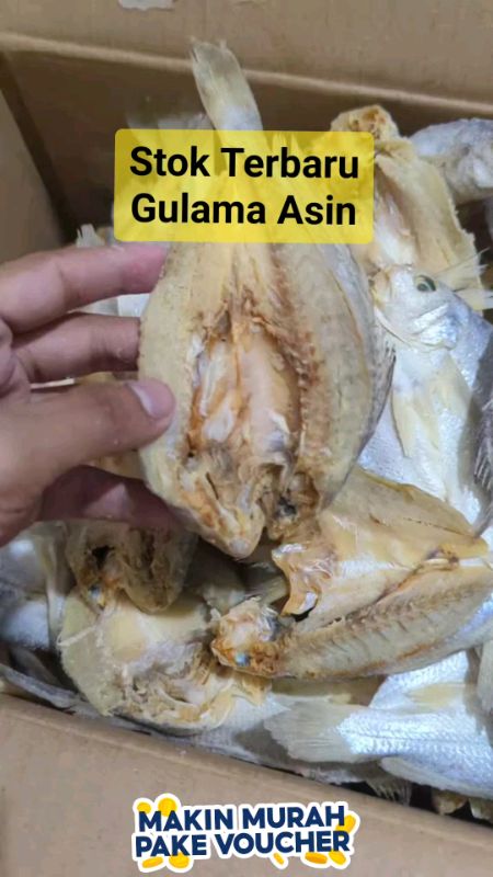 #ikanasingulama #ikanasinsamge #ikanasinsamgebelah #ikanasinkepalabatu #ViralDiShopeeVideo #RacunShopee #TermurahDiShopee #fyp #fypシ