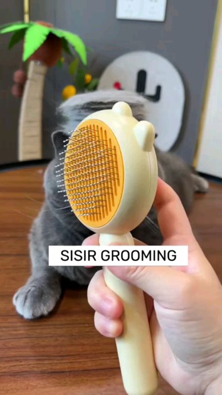 sisir kucing#SisirKucing #GakNyeselBeliKalauGini #RacunShopee #GratisOngkirRP0‍ #RacunShopeeCheck