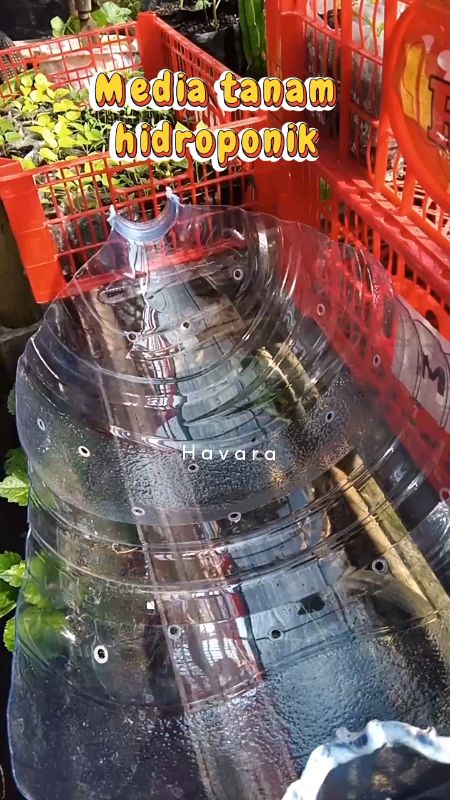 Perlengkapan berkebun belinya di ukibibit 2 #havaragarden #VideoViralDiShopee #RacunShopeeCheck #ukibibit2 #rockwool