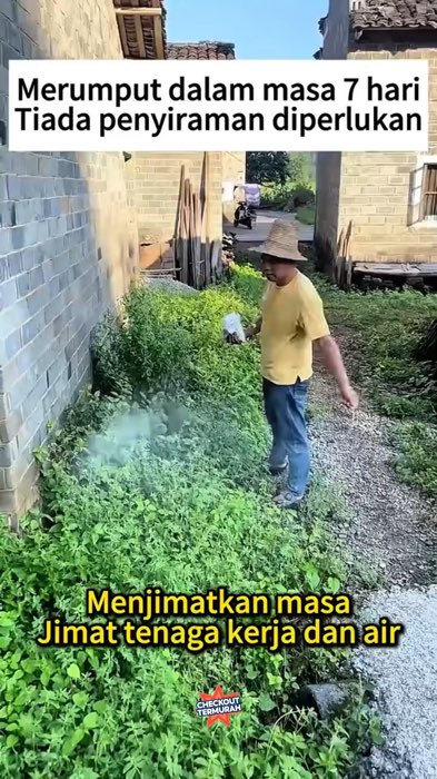 Racun pembasmi pohon dan rumput #RacunShopee #RacunShopeeCheck #racunpembasmirumput #racunpohon #racunpohondanrumput #BubukKillTreePembasmiRumput