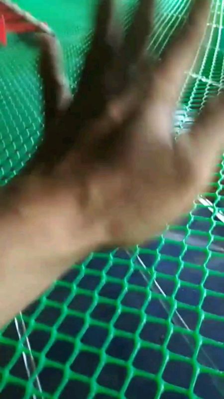 jaring plastik HDPE#GratisOngkirRP0 #Diskon50Persen #TermurahDiShopee #ViralDiShopeeVideo #SpillRacunShopee #RacunShopee #DiskonRacunShopee #fyp