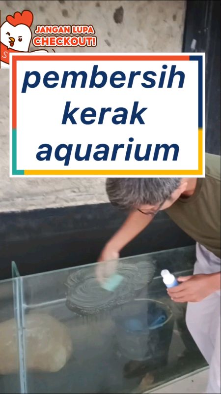 penghilnng kerak kaca & pembersih kaca aquarium #RacunShopee #RacunShopeeCheck #racunshopeemurah #shopeevideo #gratisongkir #penghilangkerakaquarium