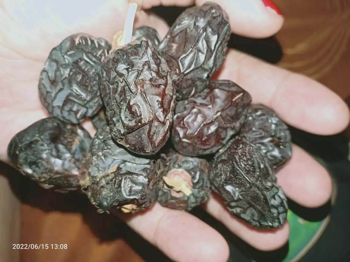 Kurma Ajwa Surabaya