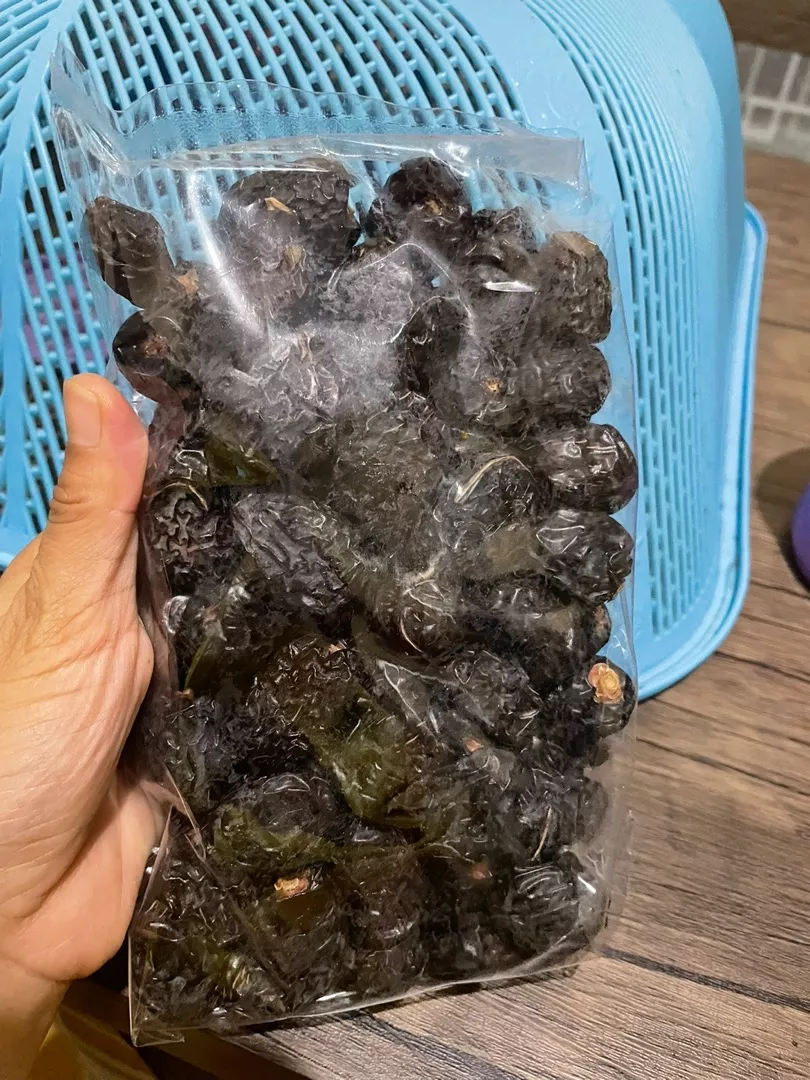 Kurma Ajwa Jambi