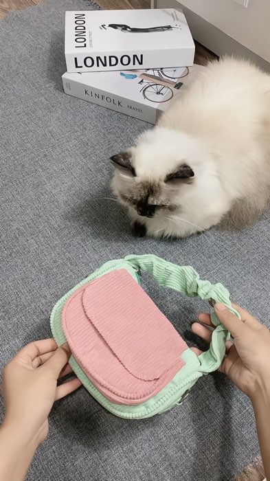 #tascorduroy#tascorduroyviral
