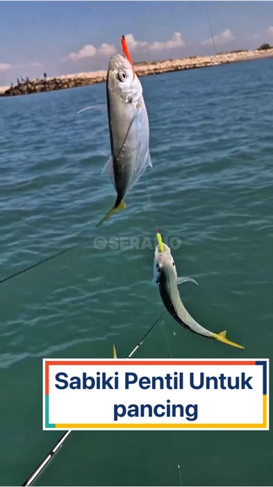 Sabiki penetil #sabiki #sabikipentil #GratisOngkirRP0 #ShopeeCOD #ShopeeLook #shopeevideo