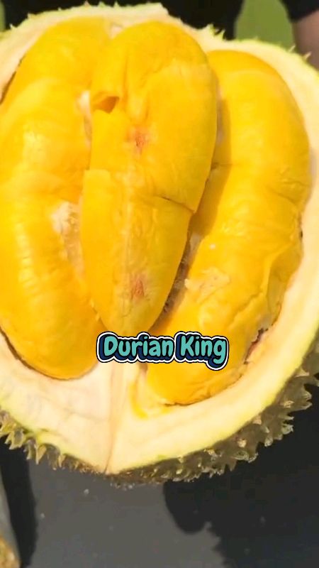 Durian Kupas, durian king Sibolga #HawaCollection #durianking #durianmusangking #durian