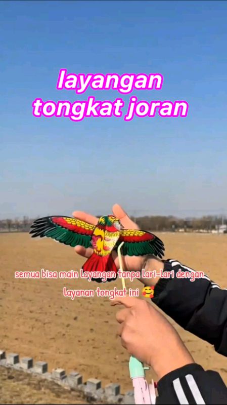 layangan tongkat yang memudahkan siapapun bisa bermain layangan #layanganbesar #layangan #mainananak #mainanedukasi #layanglayang #RcunShopeee