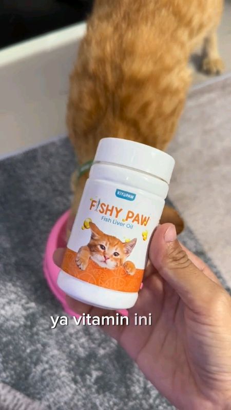 kiyopaw fish oil#minyakikankucing #fishoilkucing #kiyopaw #RacunShopee #SpillRacunShopee #fyp #shopeevideo #fypシ
