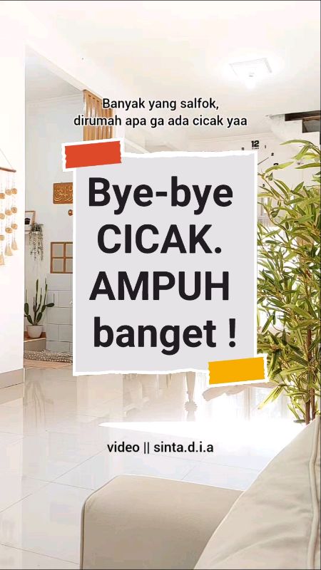 cicak kapok, rumah jadi bersih ✨️ #bacuya #bacuyaanticicak #bacuyaspraycicak #racunshopee
