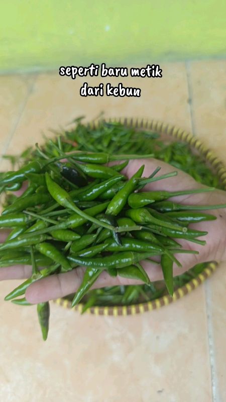 cabe rawit hijau #GratisOngkirRP0 #RacunShopee #DiskonShopeeVideo #caberawithijau