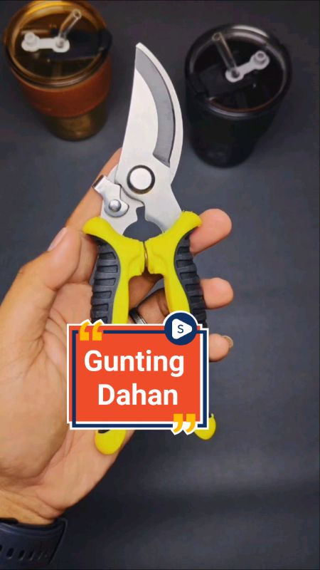 Gunting Dahan Gunting Kebun #guntingdahanranting #guntingdahan #guntingkebun #guntingtaman